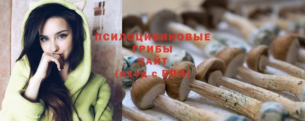 метадон Аркадак