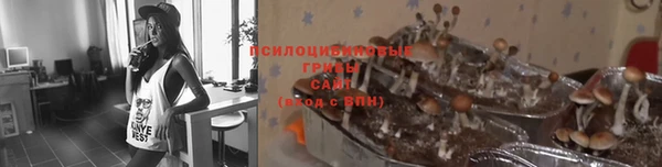 гидра Арсеньев