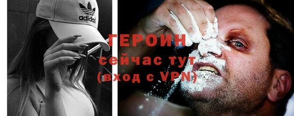 гидра Арсеньев