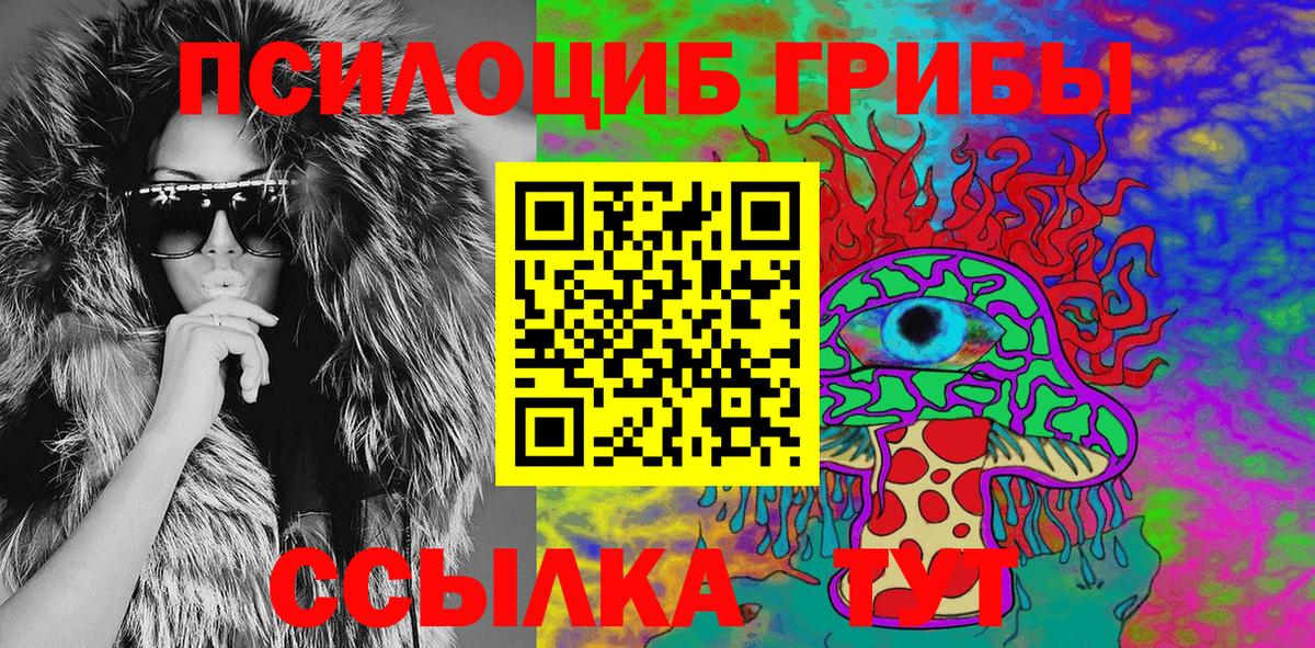 Галлюциногенные грибы Psilocybine cubensis Кызыл